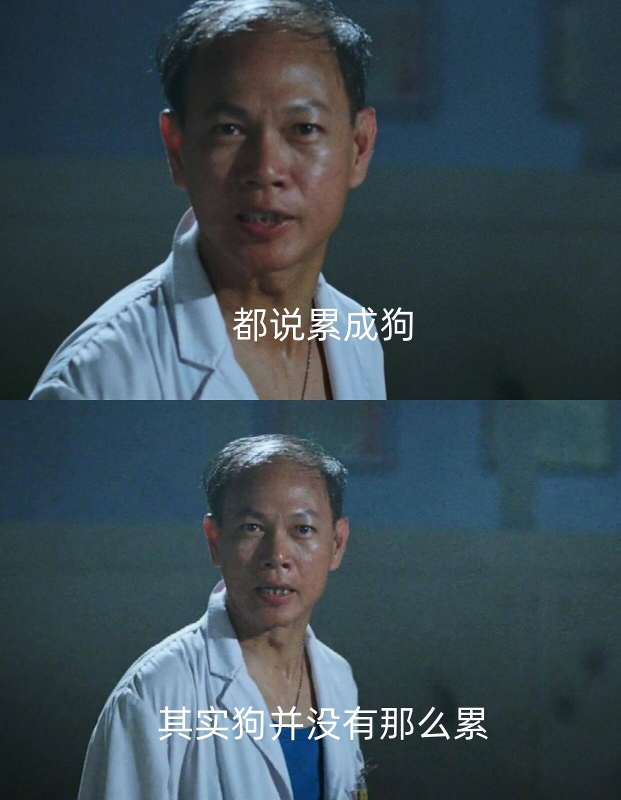 都说累成狗其实狗并没有那么累