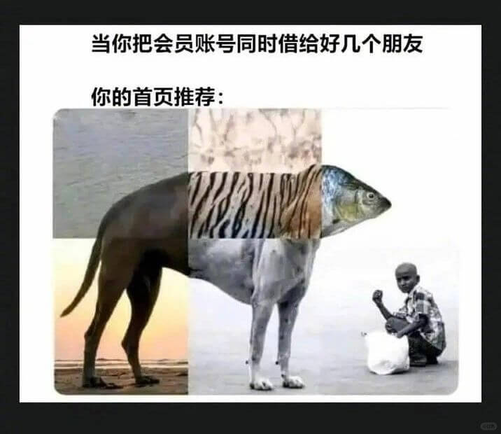 当你把会员账号同时借给好几个朋发你的首页推荐：