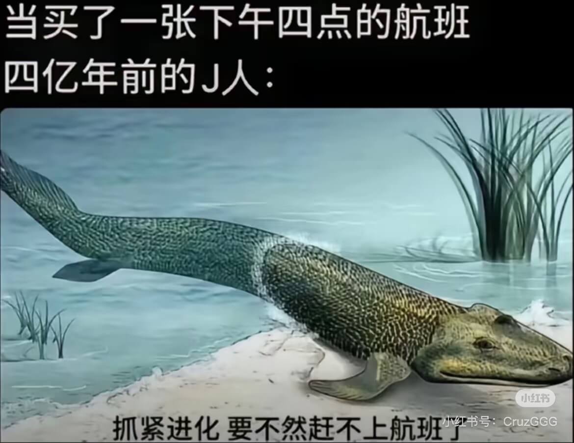 当买了一张下午四点的航班四亿年前的J人：小红书抓紧进化要不然