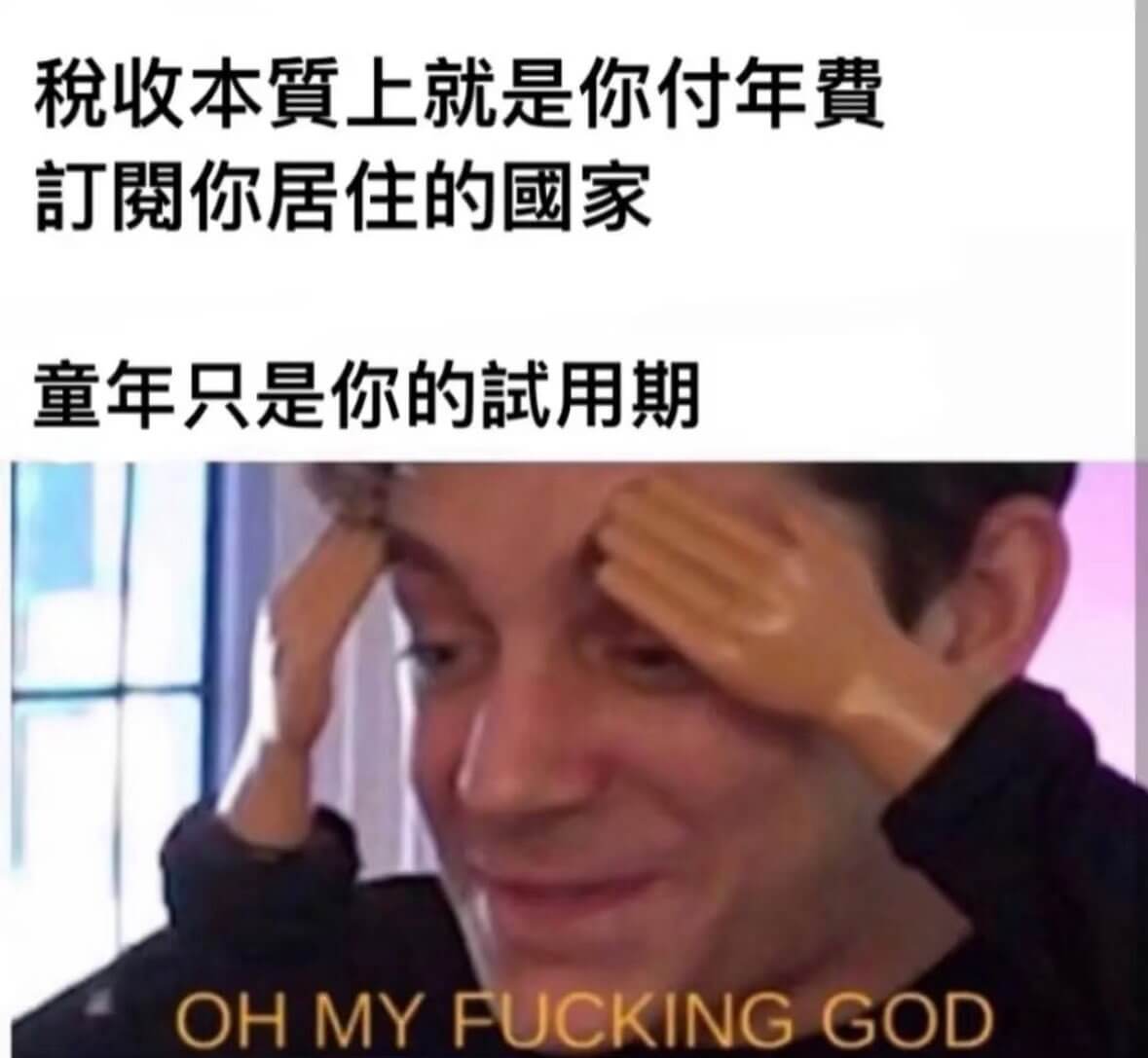 税收本質上就是你付年费，訂你居住的國家。童年只是你的試用期。