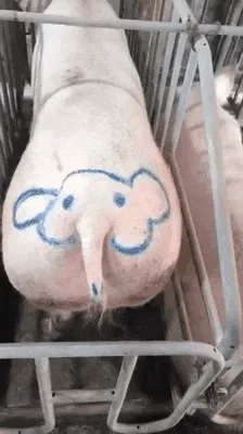 嚯，还有嘴🐶
