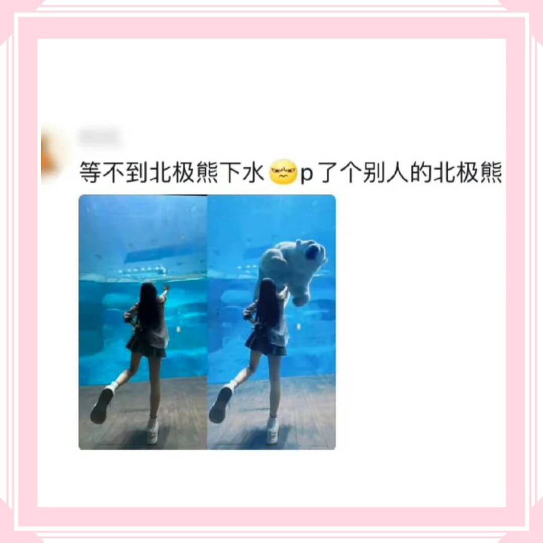 等不到北极熊下水p了个别人的北极熊