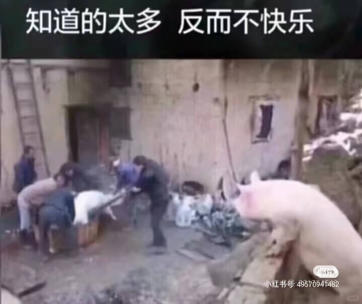 知道的太多1反而不快乐