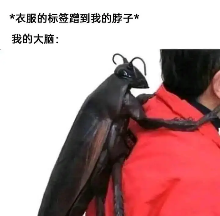 *衣服的标签蹭到我的脖子*我的大脑：