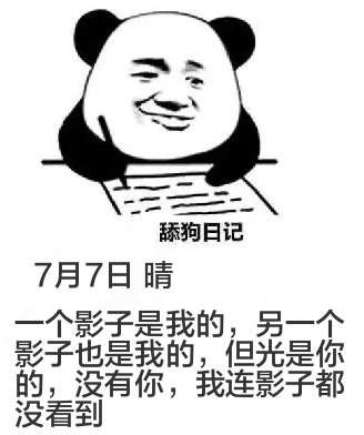舔狗日记7月7日晴一个影子是我的，另一个影子也是我的，但光是