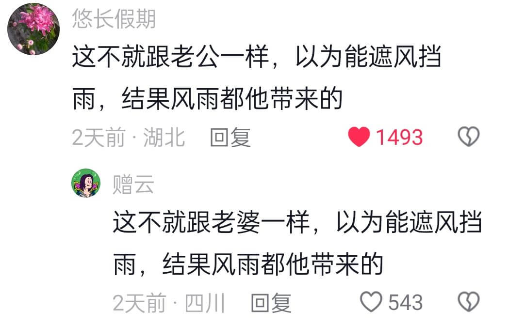 这不就跟老公一样,以为能遮风挡雨,结果风雨都他带来的2天前·