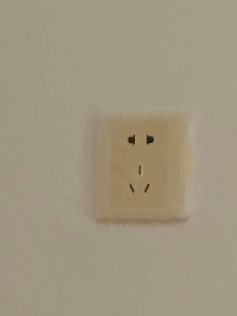一个人住久了看插座都像会说话的猴儿🐒