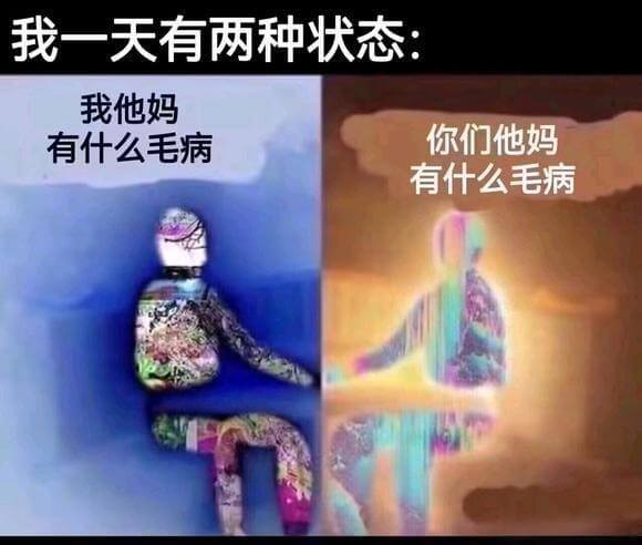 我一天有两种状态我他妈有什么毛病你们他妈有什么毛病