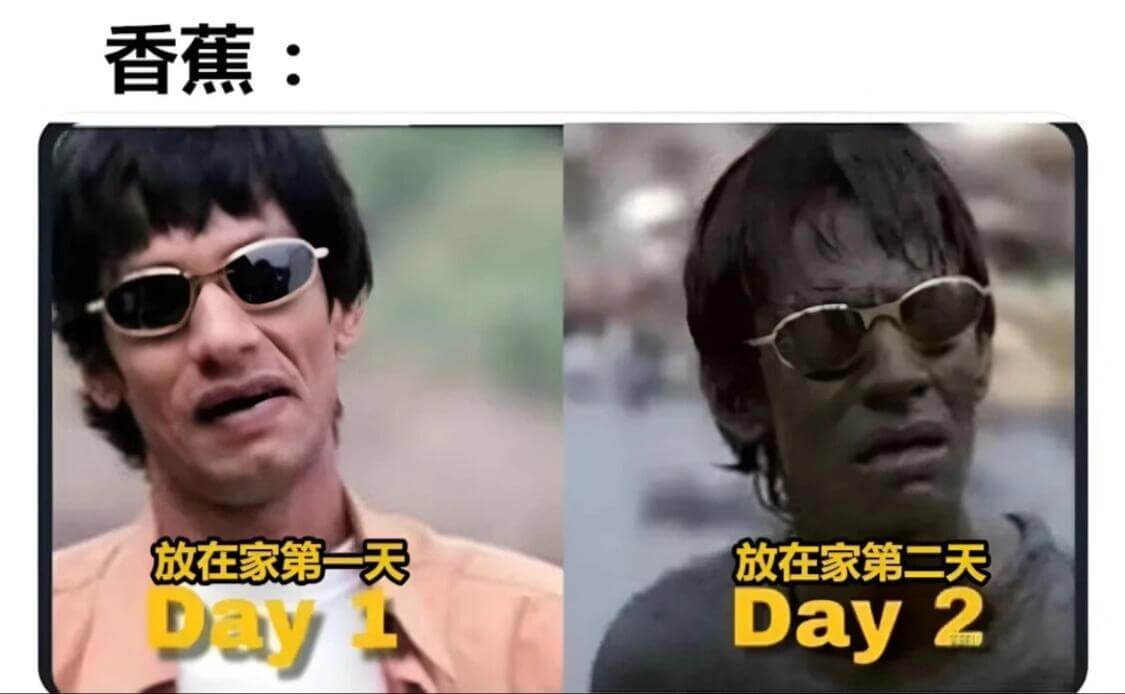 香蕉：放在家第一天放在家第二天Day1Day2