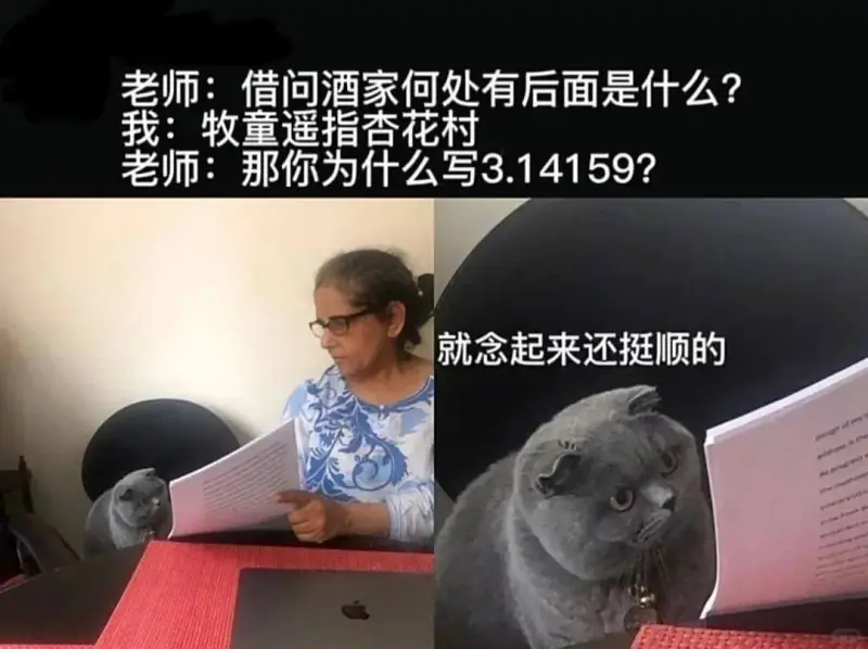 老师：借问酒家何处有后面是什么？我：牧童遥指否花村老师：那你