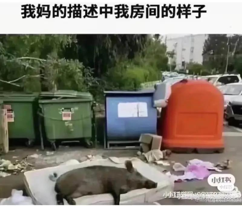 我妈的描述中我房间的样子小红书