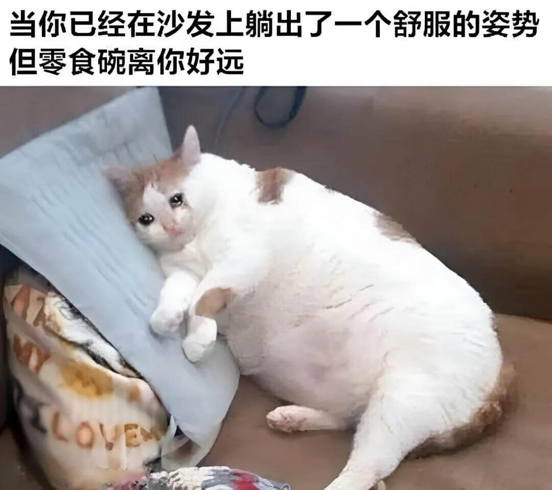 当你已经在沙发上躺出了一个舒服的姿势，但零食碗离你好远。LL