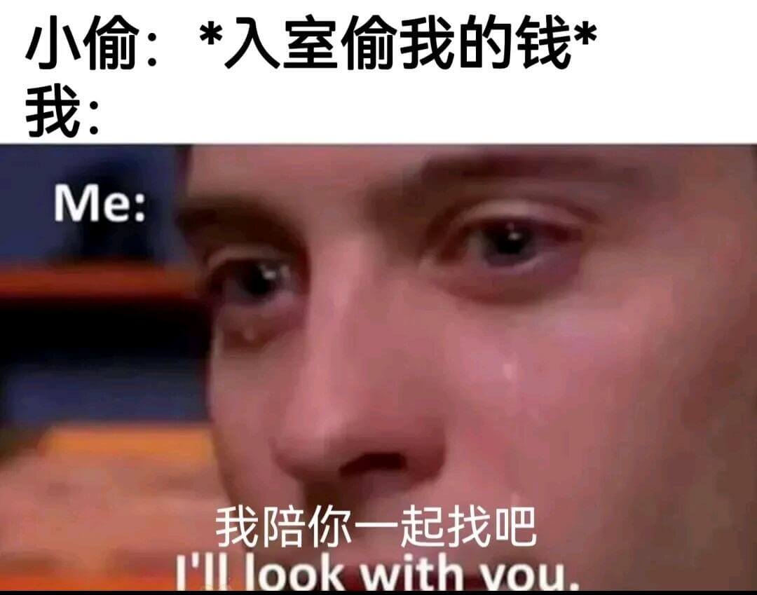 小偷：*入室偷我的钱*我：我陪你一起找吧。Illlookwi