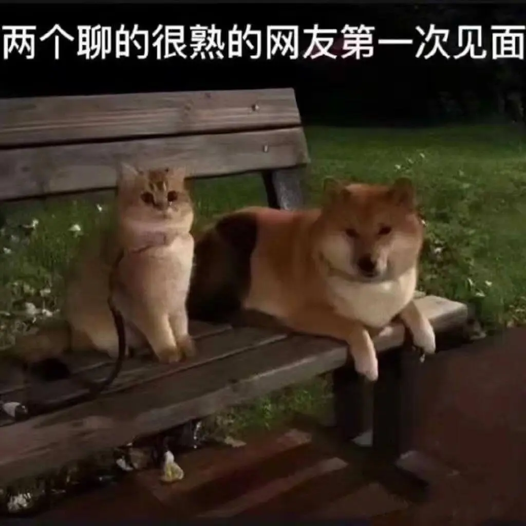 两个聊的很熟的网友第一次见面