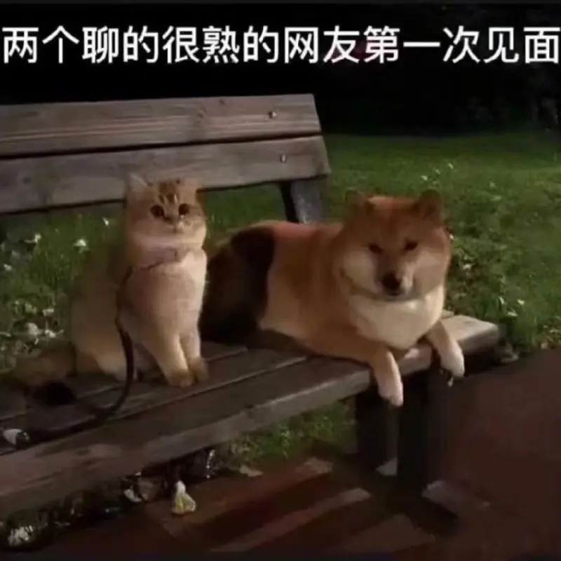 两个聊的很熟的网友第一次见面