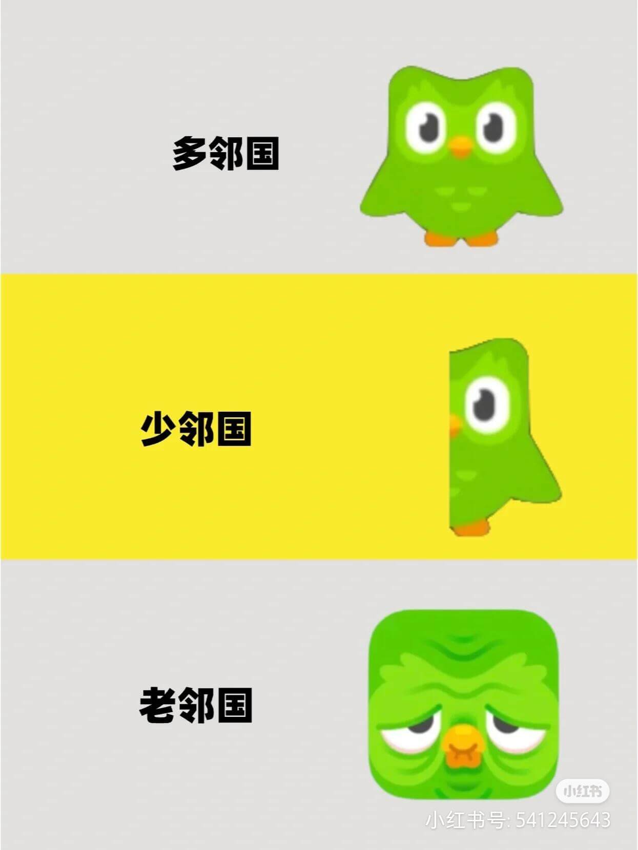 多邻国少邻国老邻国小红书小红书号：541245643