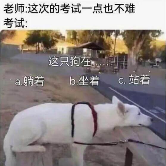 老师：这次的考试一点也不难考试：这只狗在a.躺着b.坐着c.