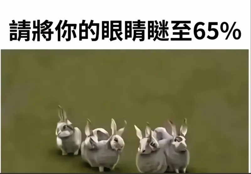 睛将你的眼睛谜至65%