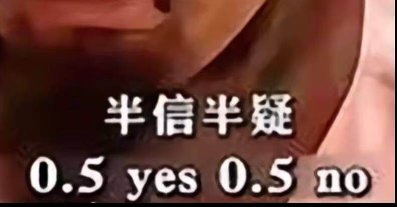 半信半疑0.50.5yesno