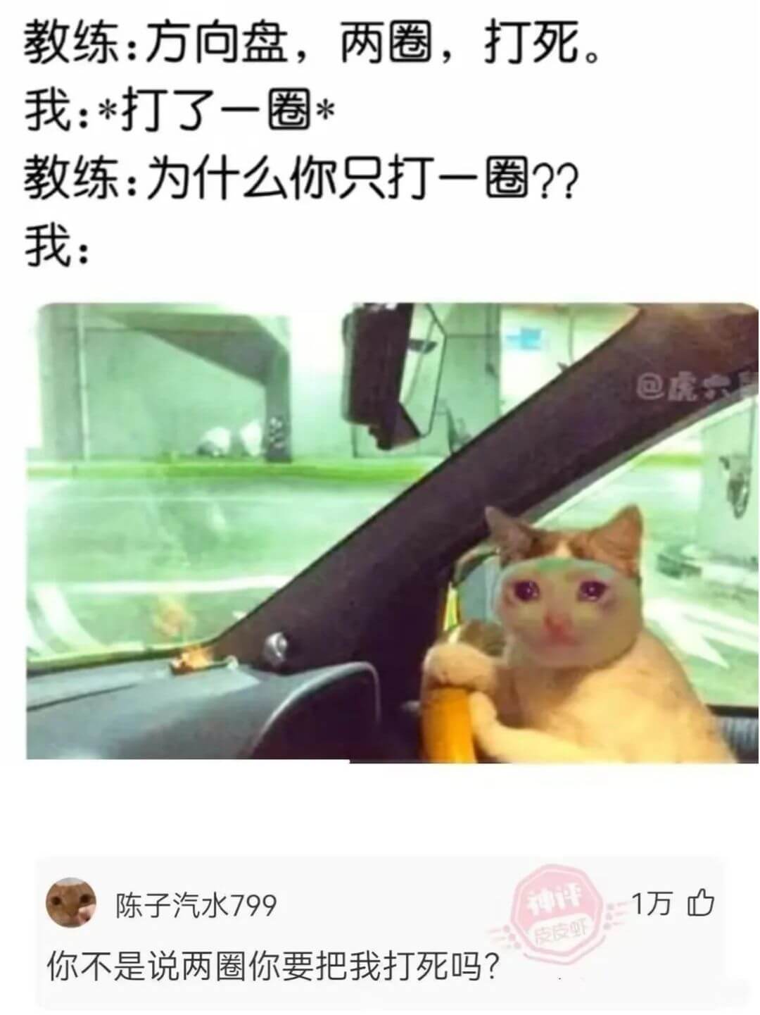 教练：方向盘，两圈，打死我：*打了一圈教练：为什么你只打一圈