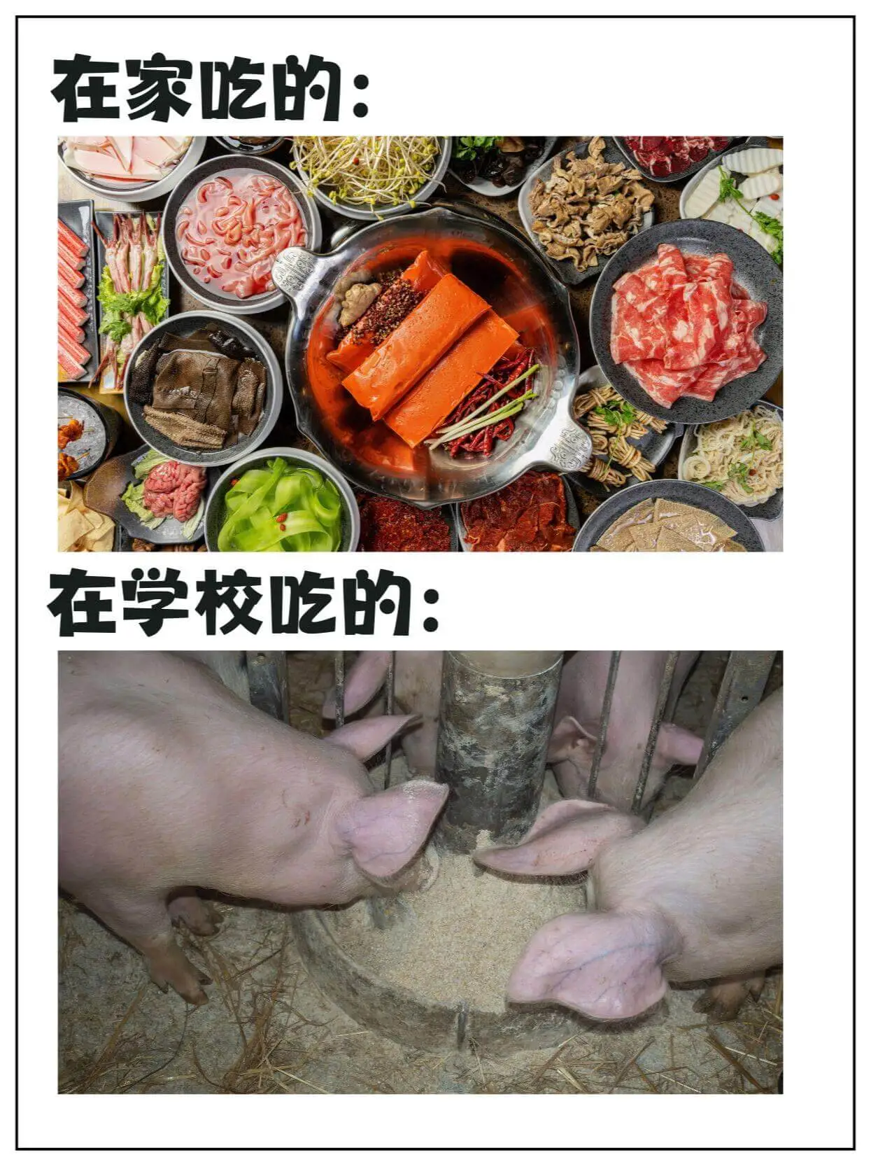 在家吃的：在学校吃的：