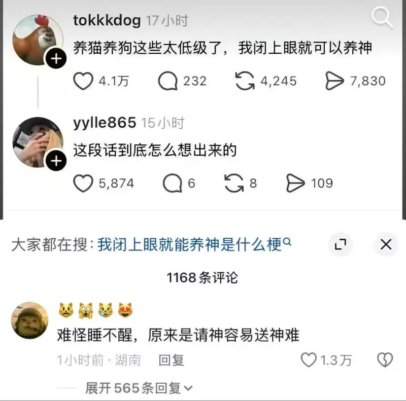 tokkkdog17小时养猫养狗这些太低级了，我闭上眼就可以