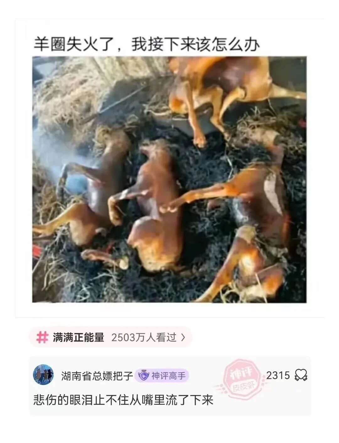 羊圈失火了，我接下来该怎么办满满正能量2503万人看过>湖南