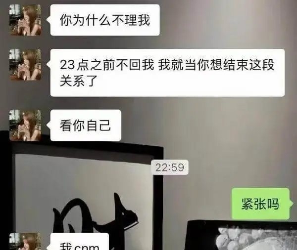 你为什么不理我？23点之前不回我，我就当你想结束这段关系了。