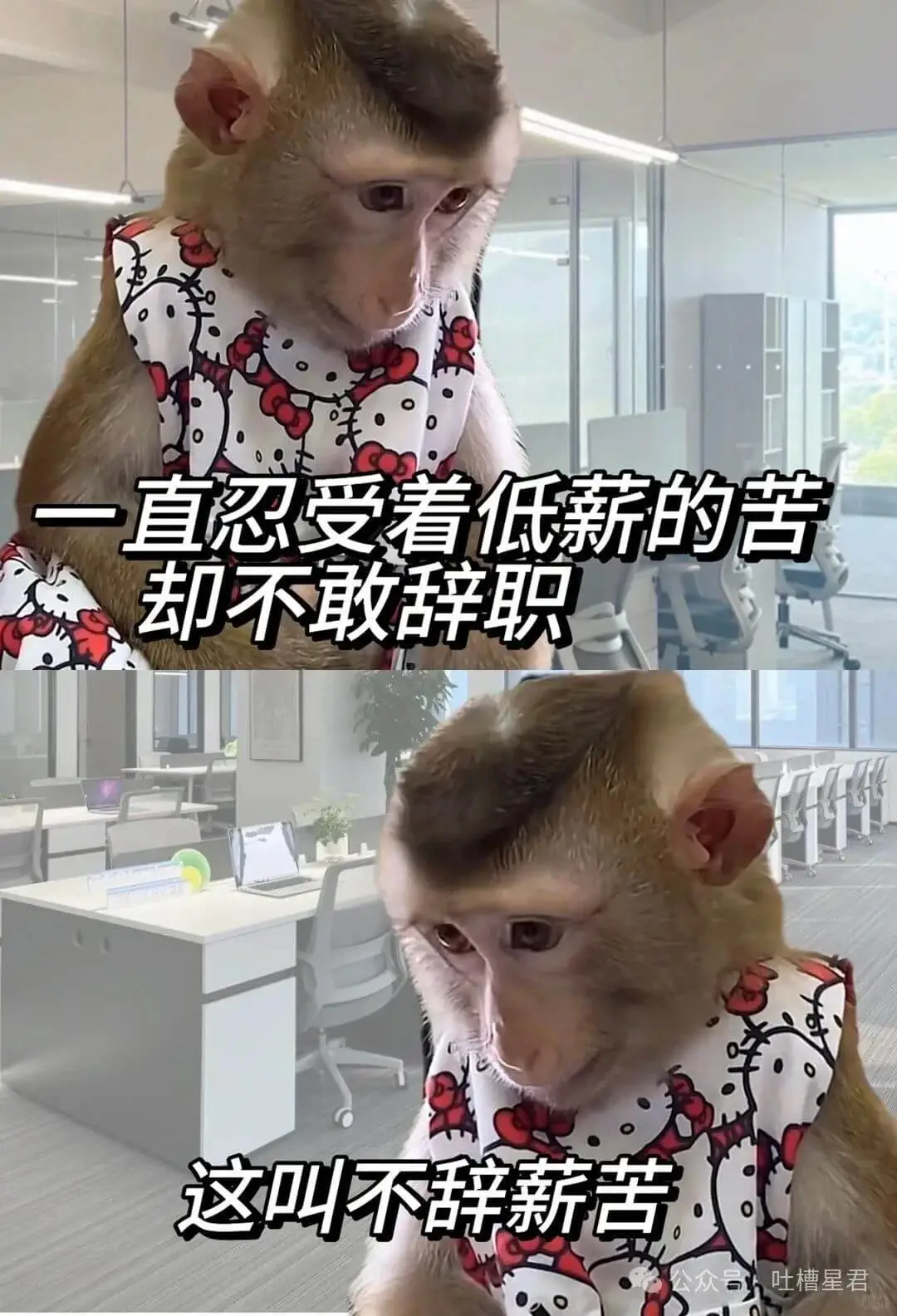 一直忍受着低薪的苦却不敢辞职这叫不辞薪苦吐槽星君公众号