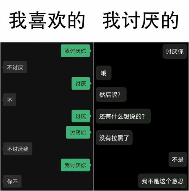 我喜欢的我讨厌的我讨厌你讨厌你不讨厌哦讨厌然后呢？不讨厌还有