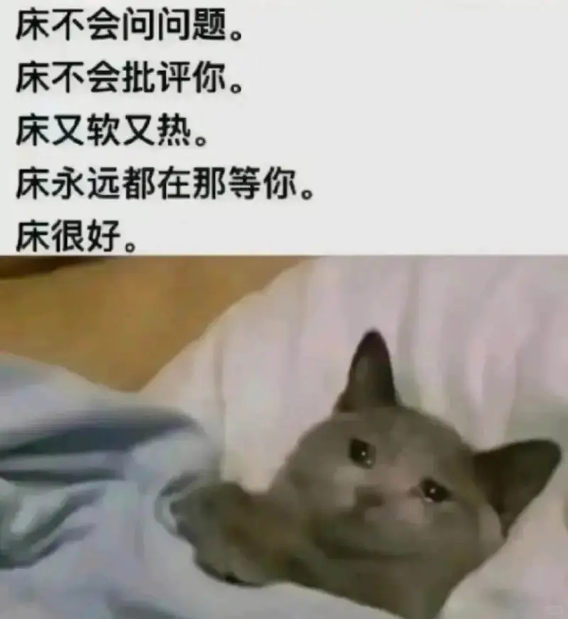 床不会问问题。床不会批评你。床又软又热。床永远都在那等你。床