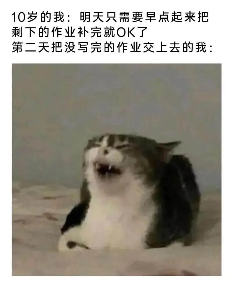 10岁的我：明天只需要早点起来把剩下的作业补完就OK了第二天