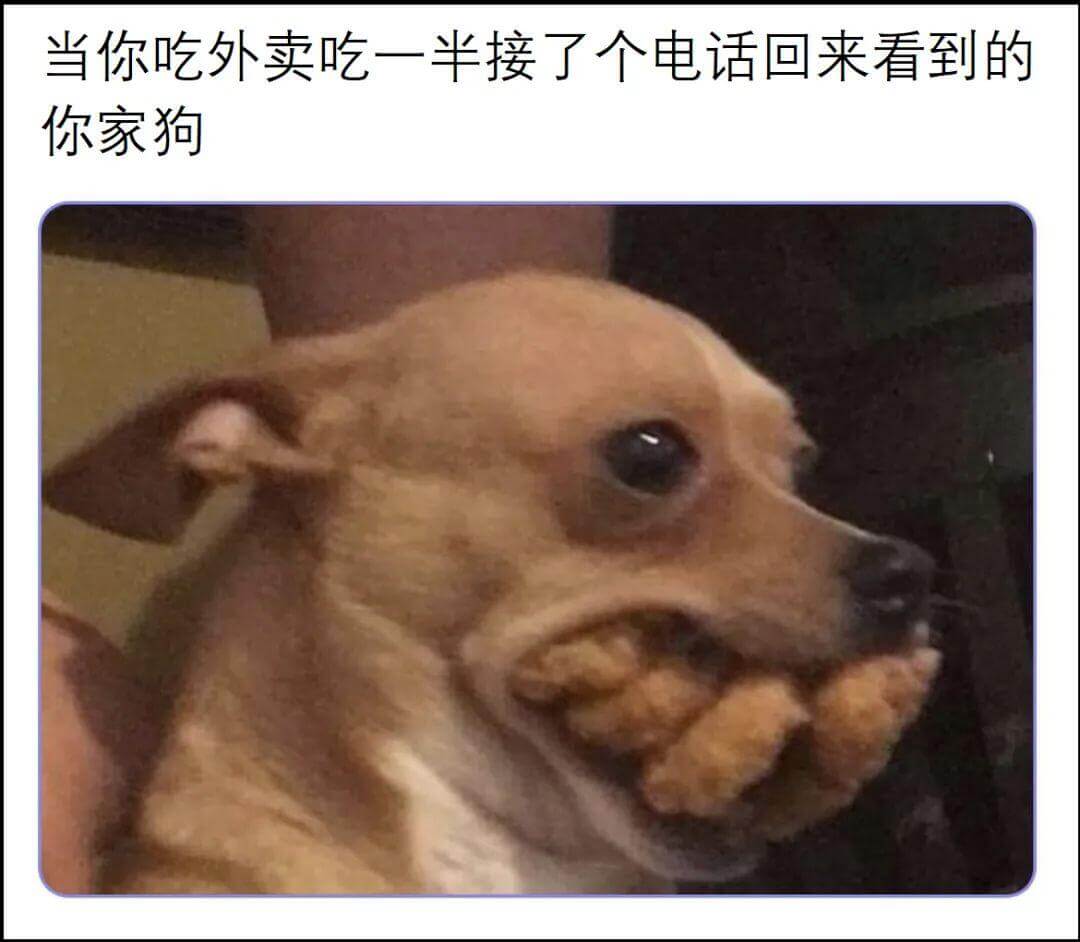 当你吃外卖吃一半接了个电话回来看到的你家狗