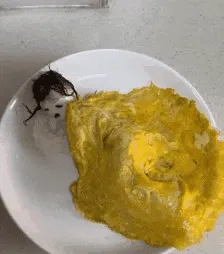 梗图