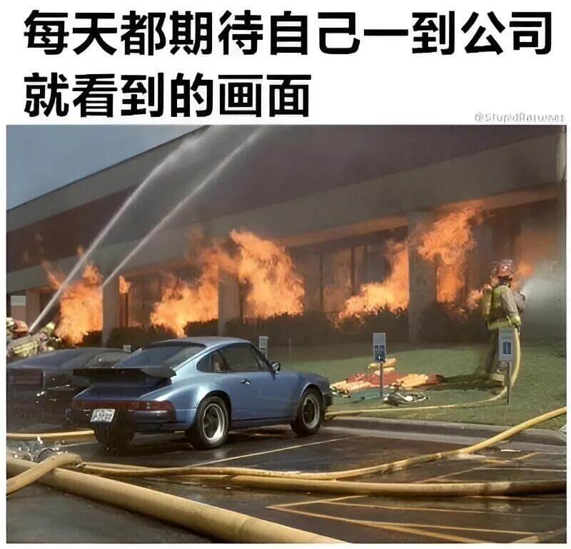 每天都期待自己一到公司就看到的画面