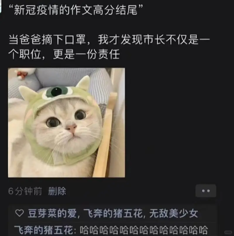 新冠疫情的作文高分结尾当爸爸摘下口罩，我才发现市长不仅是一个