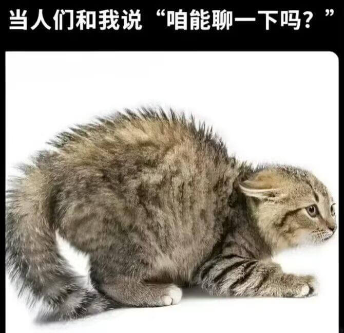 当人们和我说“咱能聊一下吗？