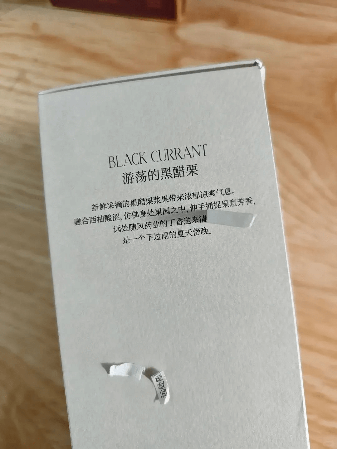 BLACKCURRANT游荡的黑醋栗新鲜采摘的黑醋栗浆果带来