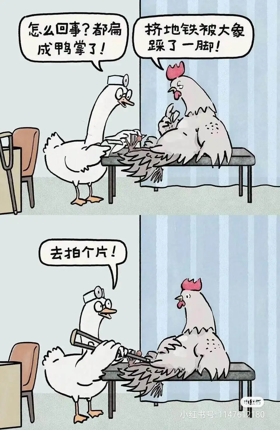 怎么回事？都扁了！挤地铁被大象踩了一脚，成甲鸭掌了！去拍个片