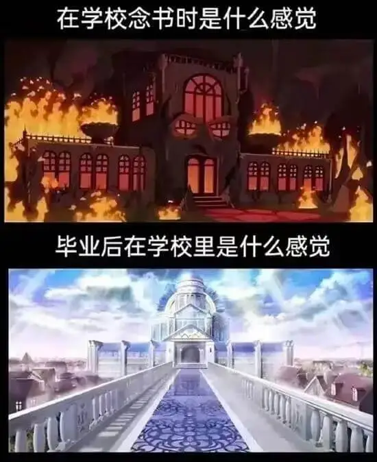 在学校念书时是什么感觉？毕业后回学校是什么感觉？