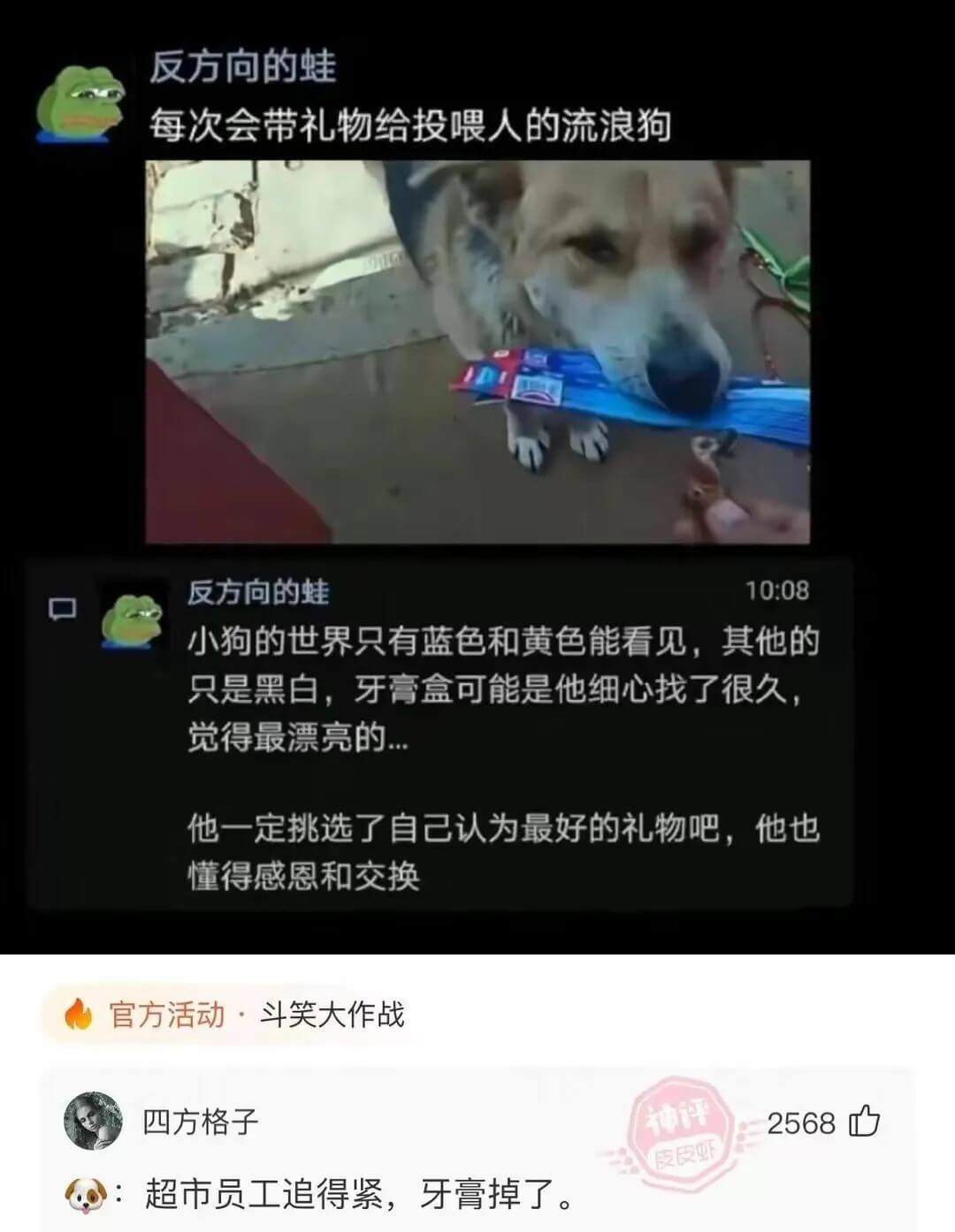 反方向的蛙10:08小狗的世界只有蓝色和黄色能看见，其他的只