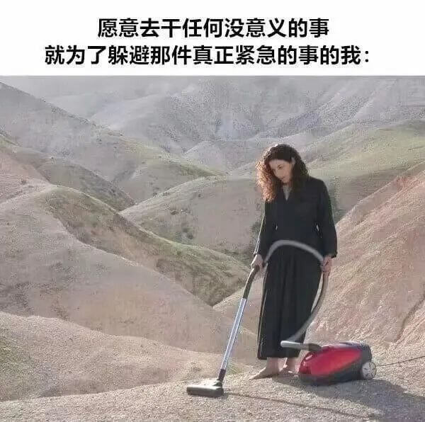 愿意去干任何没意义的事就为了躲避那件真正紧急的事的我：