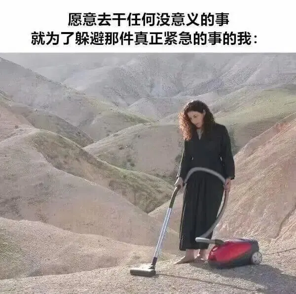 愿意去干任何没意义的事就为了躲避那件真正紧急的事的我：