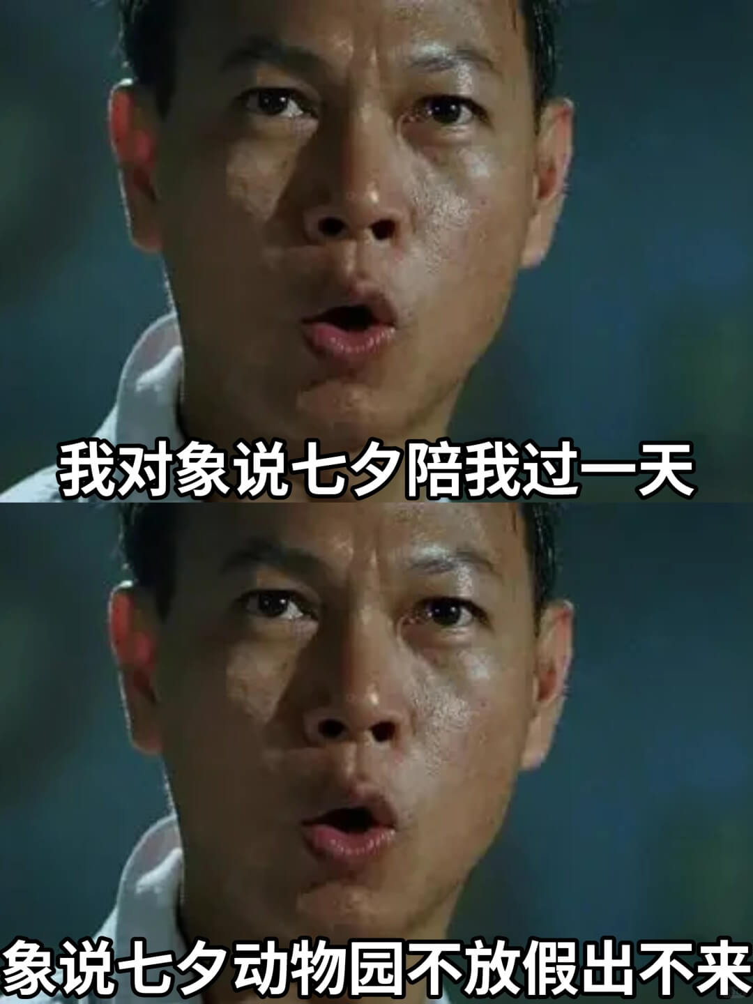 我对象说七夕陪我过一天象说七夕动物园不放假出不来