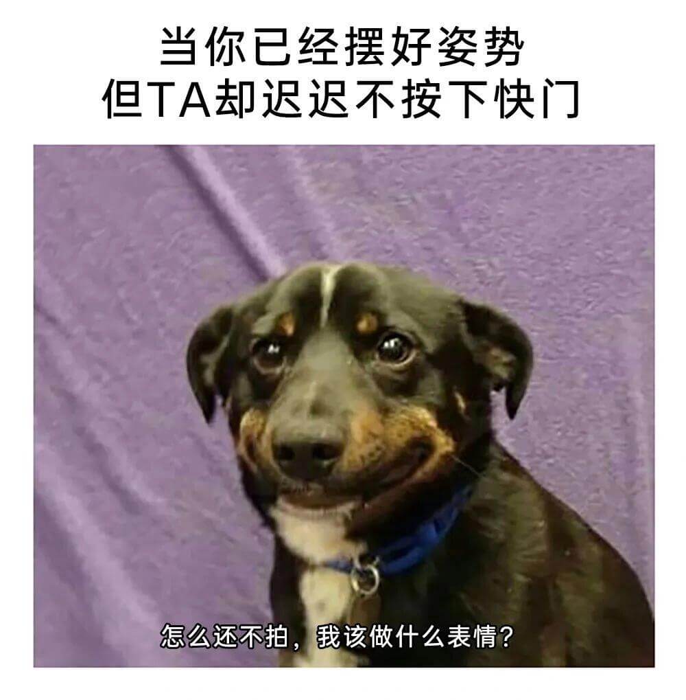 当你已经摆好姿势，但工A却迟迟不按下快门：“怎么还不拍？我该