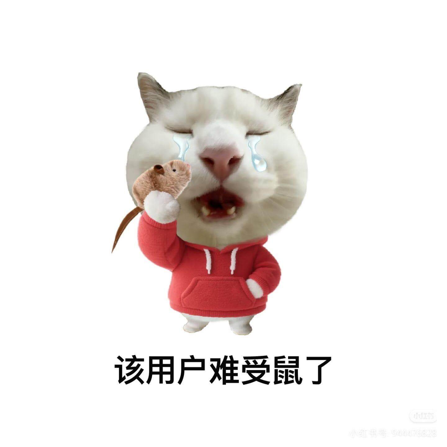 该用户难受鼠了小红书号：944476828