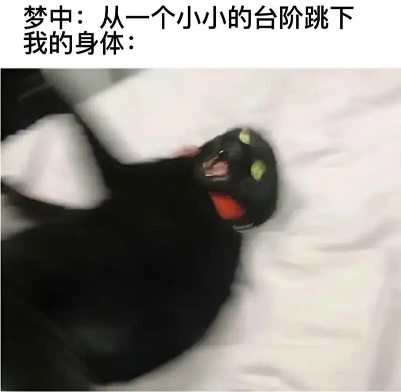 梦中：从一个小小的台阶跳下我的身体：