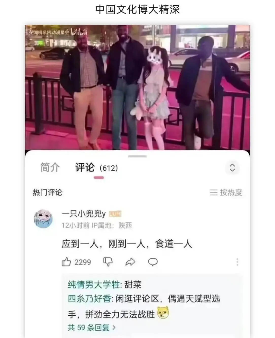 中国文化博大精深芜湖吼吼吼动漫星空bilibili简介评论(