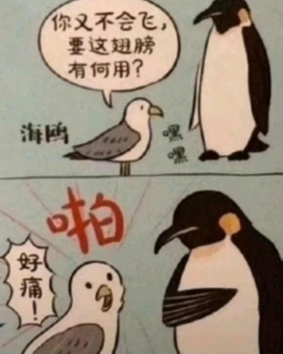 你又不会飞，要这翅膀有何用？海鸥啪好痛！优惠券再度：