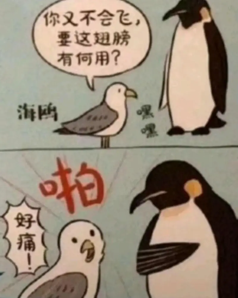 你又不会飞，要这翅膀有何用？海鸥啪好痛！优惠券再度：